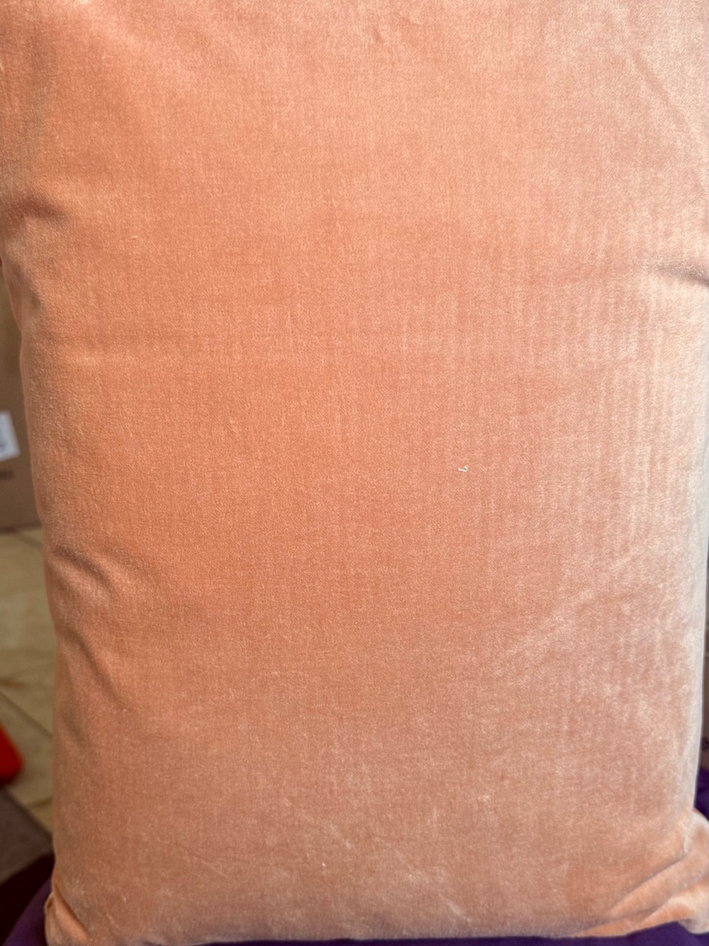 Plush Velvet Decorative Pillow in Peach
